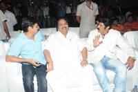 Legend Movie 50 Days Success Meet